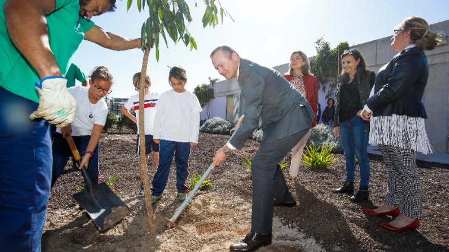 Hidalgo planta un árbol junto a los alumnos del CEIP Martín Chirino.