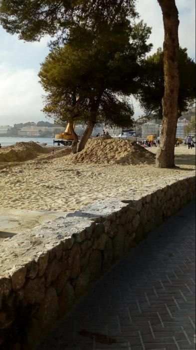 Gran despliegue para retirar el catamarán encallado en Santa Ponça