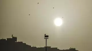 ¿Cuándo acabará este episodio de calima en Canarias?