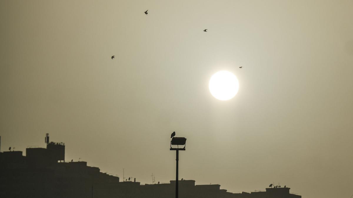 Predicción tiempo 16 - 22 de febrero de 2026