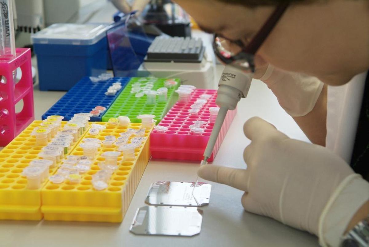 Sanidad incrementa las patologías congénitas que se detectan