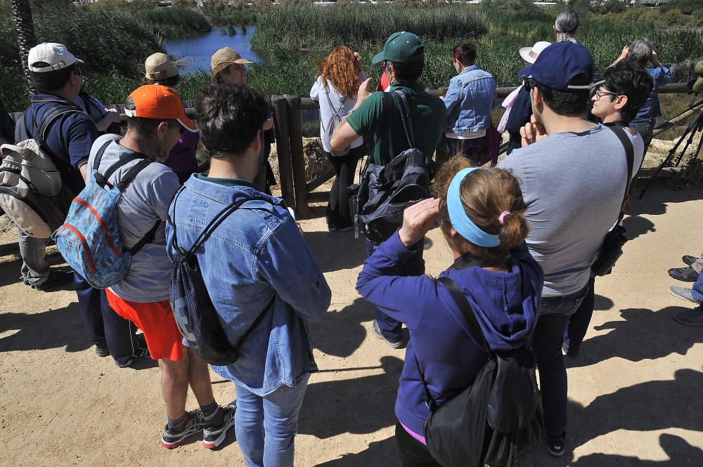 Día Internacional de las Aves Migratorias