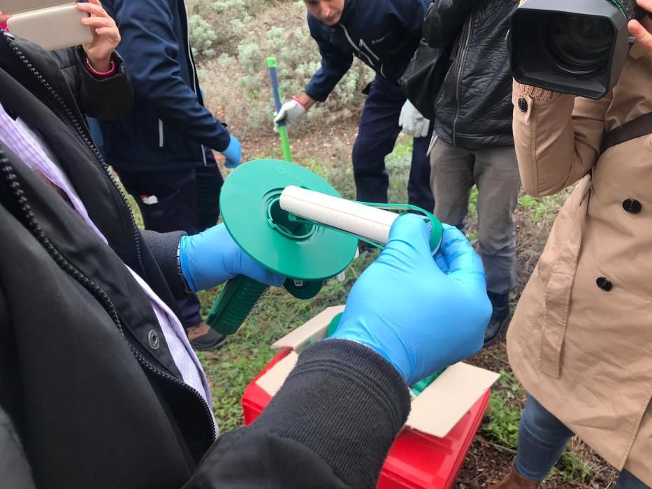 Instalación de portacebos contra la plaga de termi