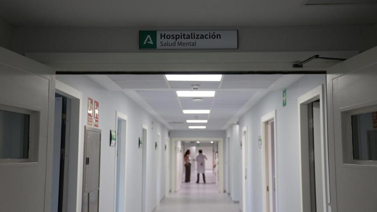 Déficit de profesionales en Salud Mental en el área del Altiplano.
