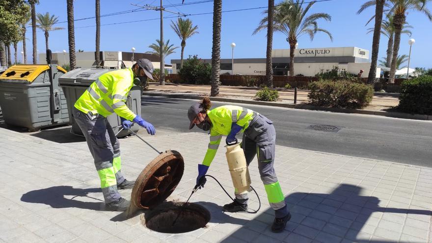 Dispositivo de limpieza en Alicante en prevención de una posible gota fría