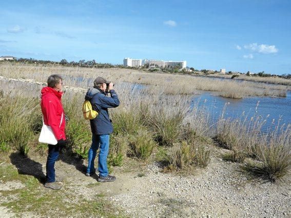 Albufera