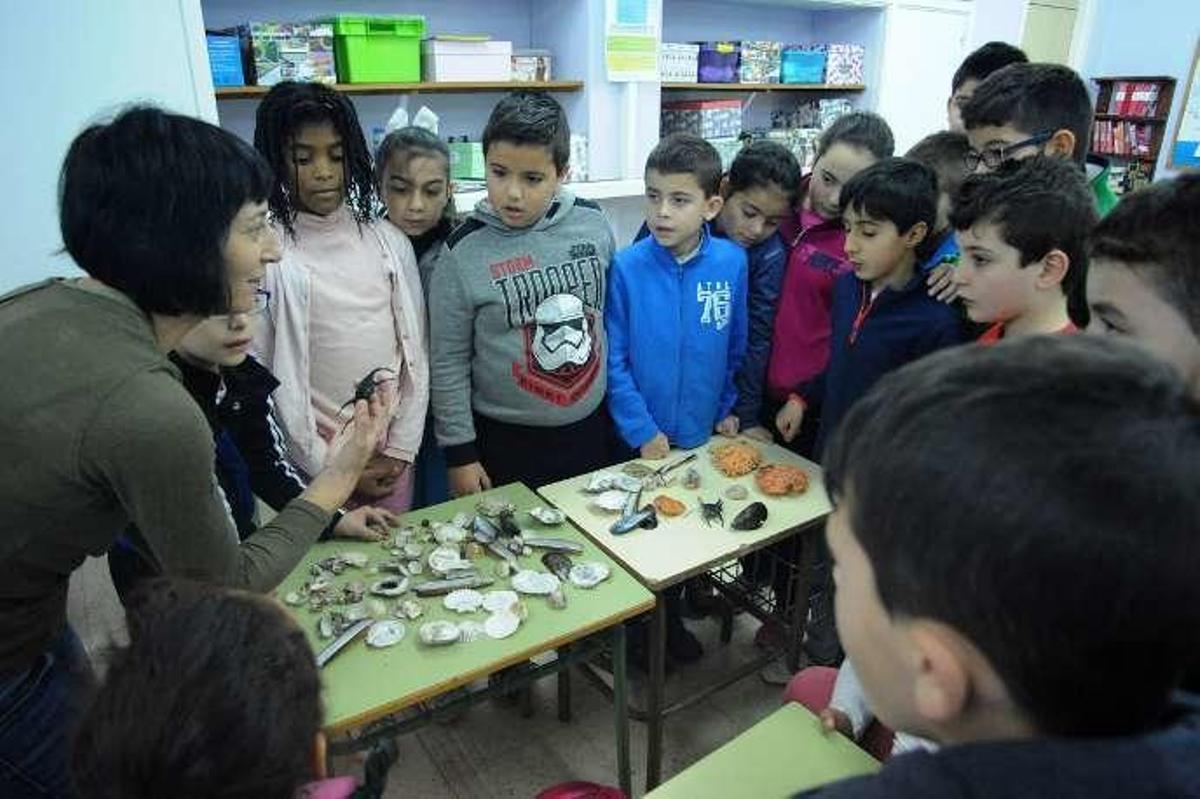 Los recursos naturales de la ría de Arousa llegan a la escuela en una clase práctica