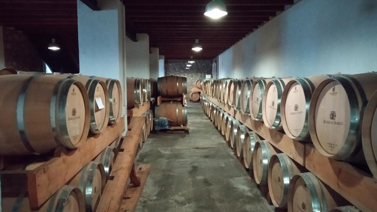 Parque de barricas de roble francés y americano semienterrado de Bodegas Iranzo.