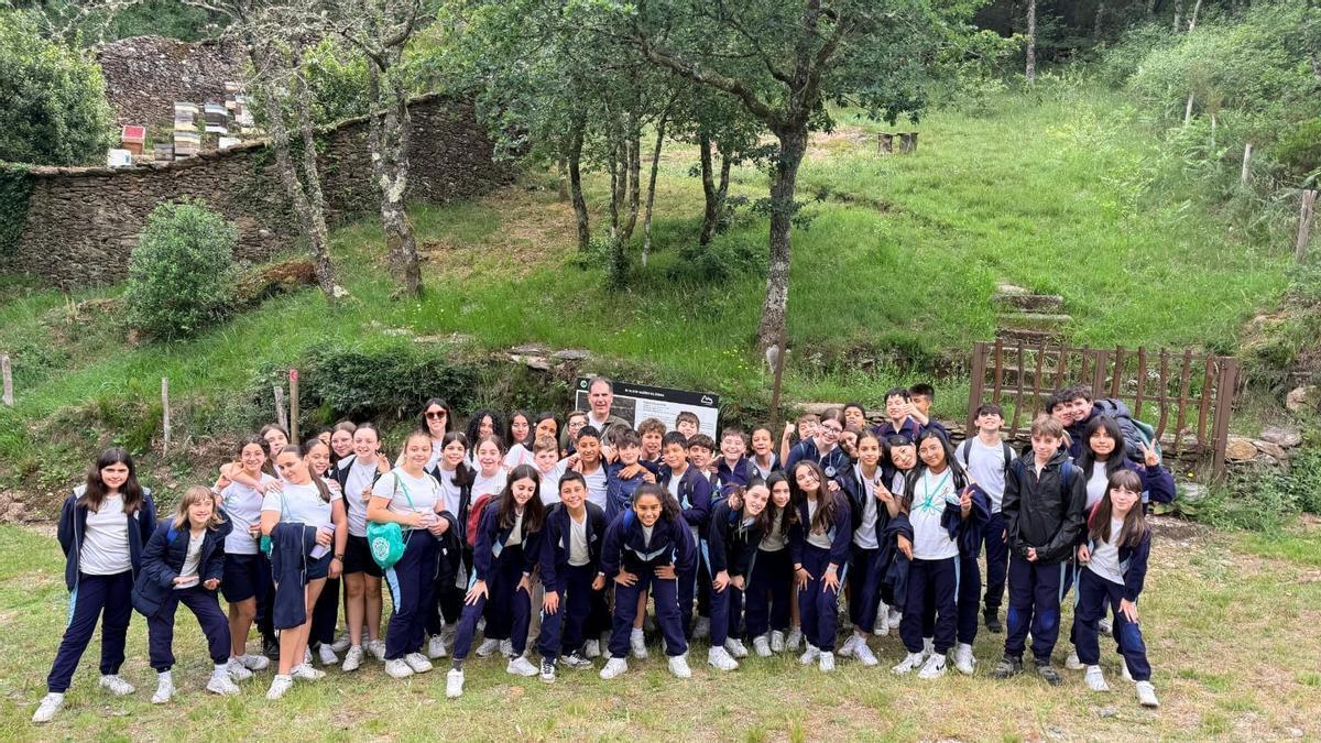 Estudiantes del Colegio Cluny de Santiago descubren la apicultura en Zobra.