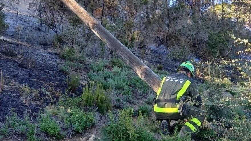 L'incendi de Palamós afecta 4,3 hectàrees i s'hauria iniciat arran de la caiguda d'un suport elèctric