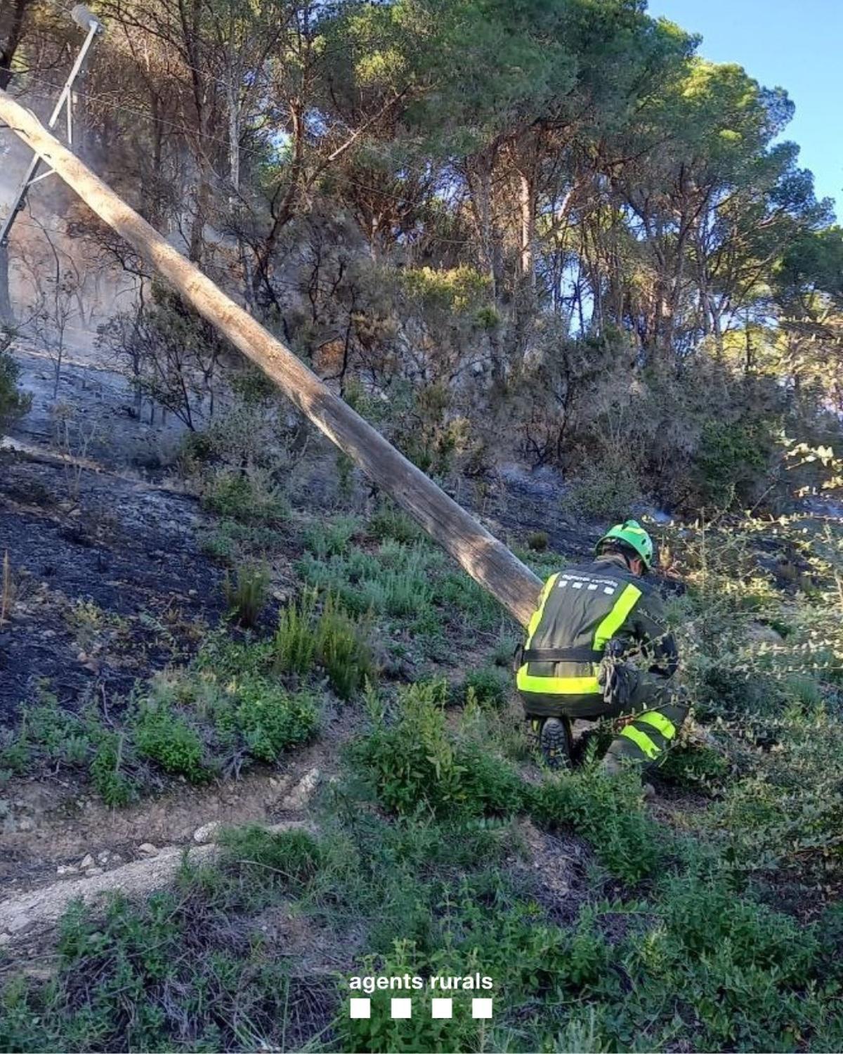 Un agent rural a la zona d'inici del foc on va caure el suport elèctric a Palamós