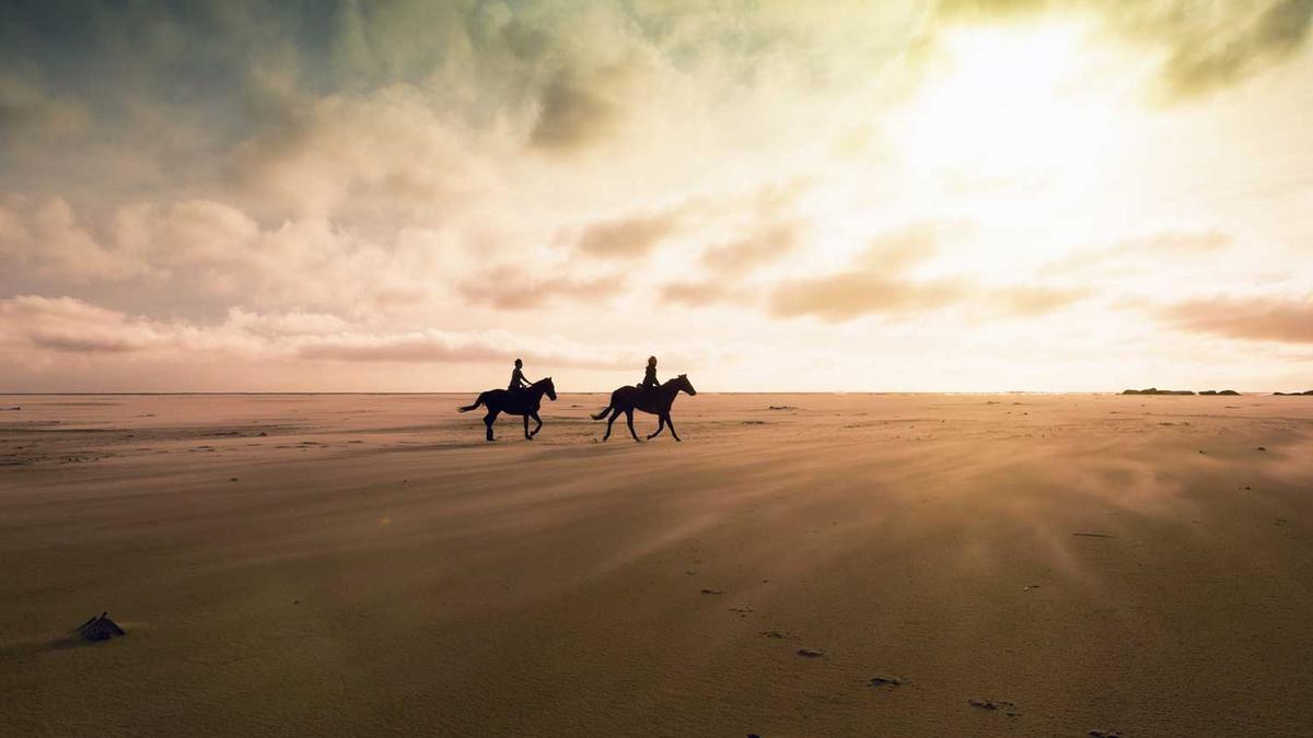 Caballos en una playa