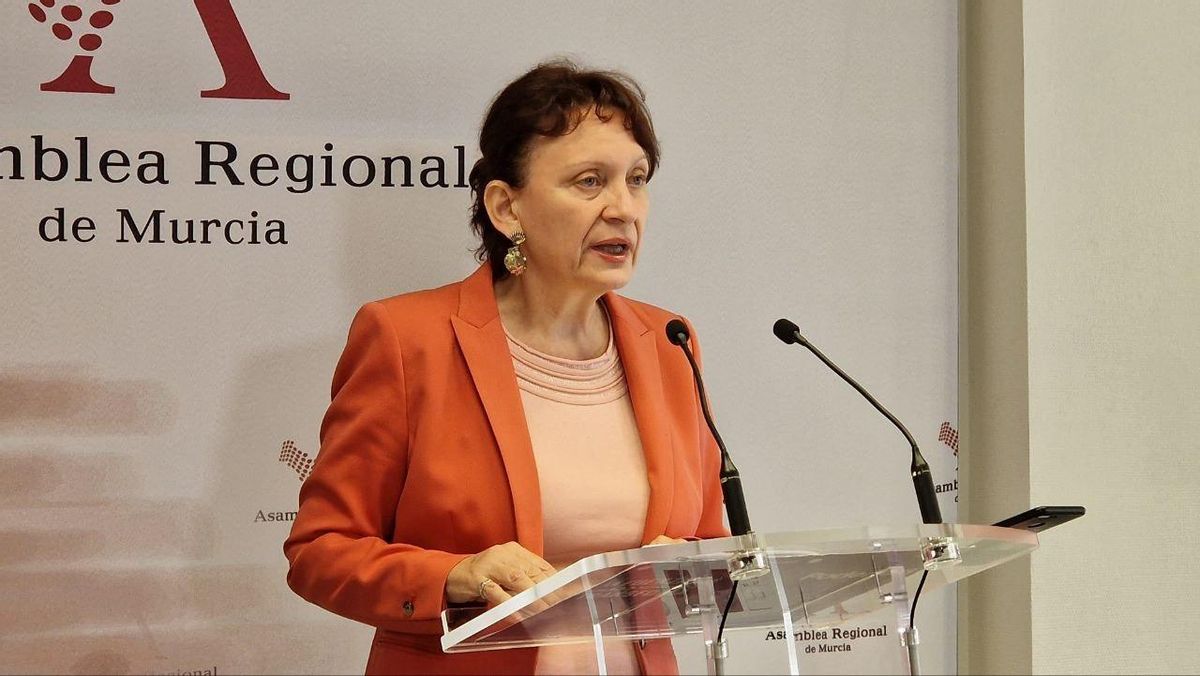 La portavoz de Podemos en la Asamblea, María Marín, es viernes en rueda de prensa.