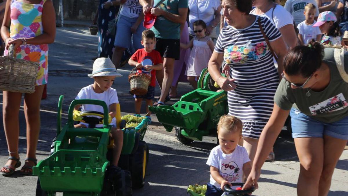 Niños durante la vendimia infantil.