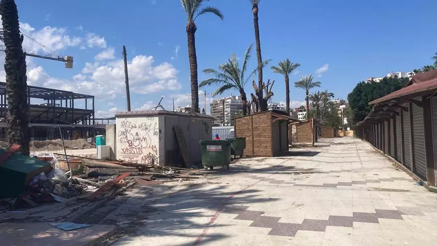 Palmeras y ficus desaparecen del paseo de La Libertad de Torrevieja: el ayuntamiento asegura que se trasplantarán y que la zona tendrá más vegetación cuando se reurbanice