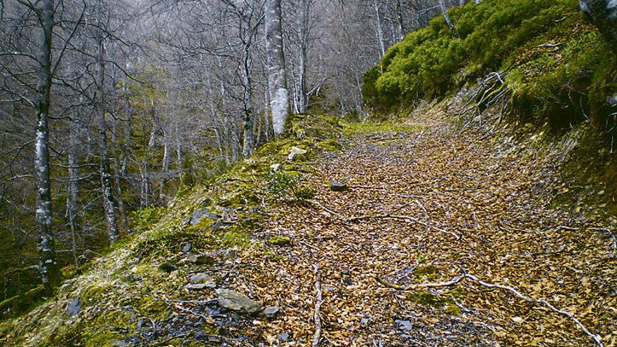 Pista de acceso a la mina Julita, en La Cobertoria (Lena).