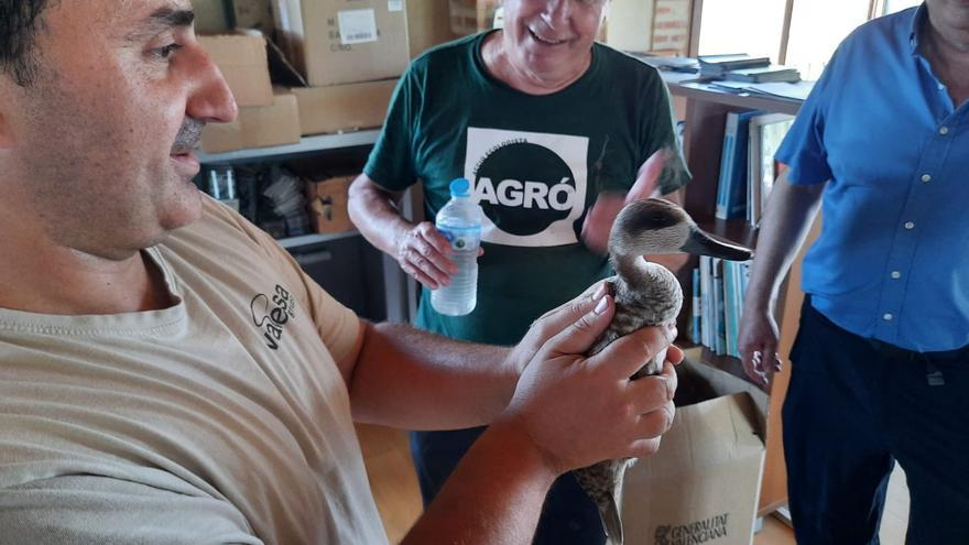 AE-Agró i Caixa Popular treballen colze a colze per a millorar la biodiversitat a la Marjal d’Almenara