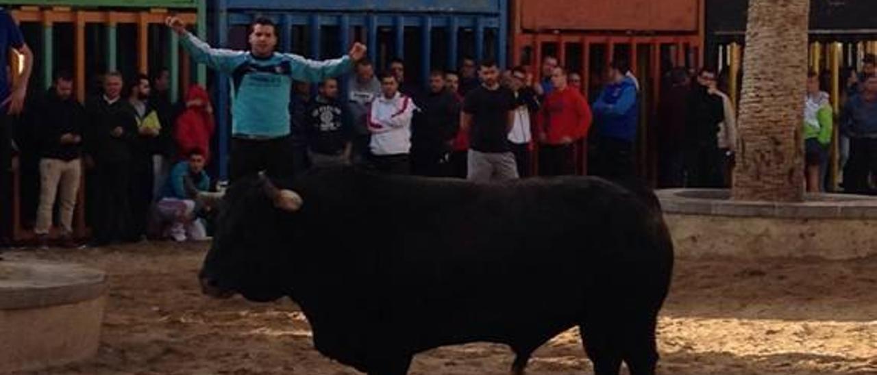 Corneado un joven en la Llosa