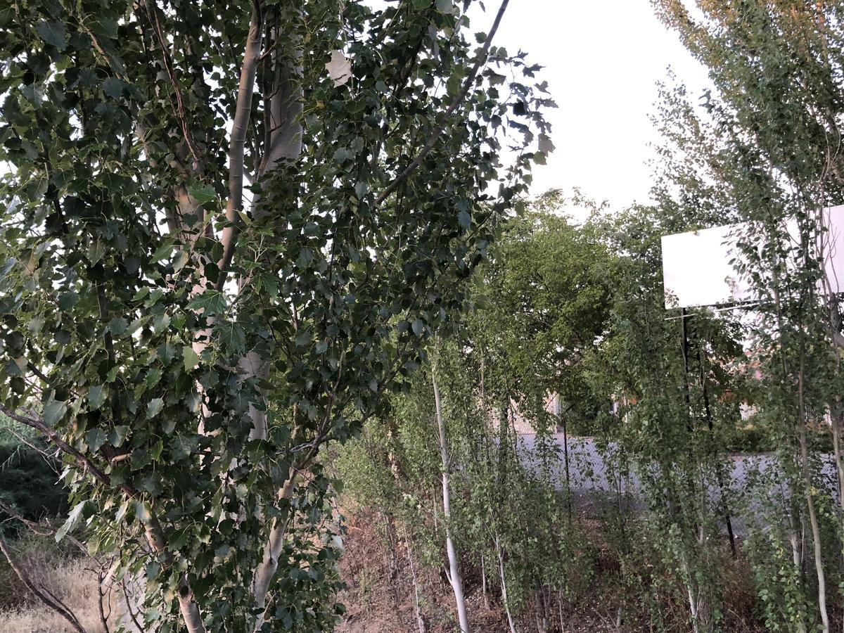Fotogalería | El zonche de los Villegas en Cáceres
