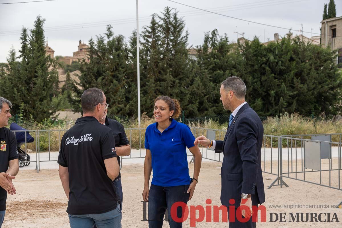 Control veterinario de los Caballos del Vino en Caravaca