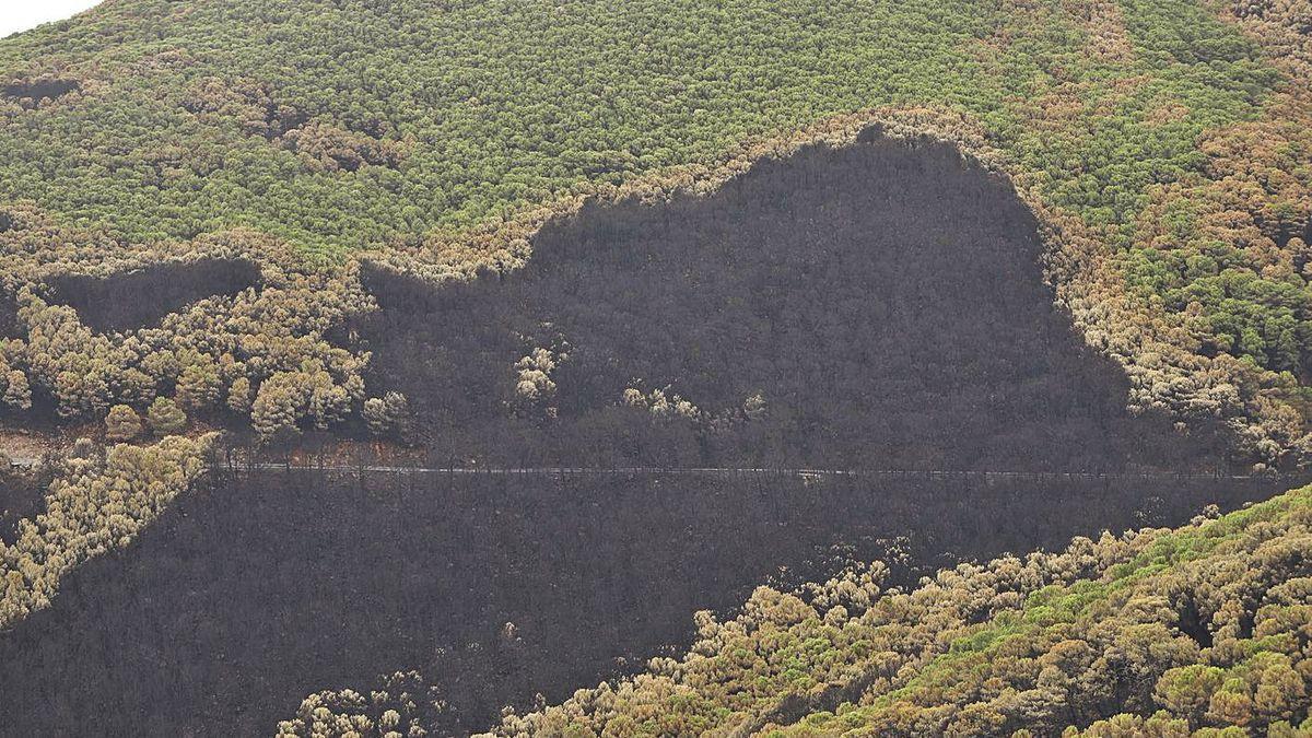 El paisaje tardará décadas en recuperarse y nunca volverá a ser el que era.