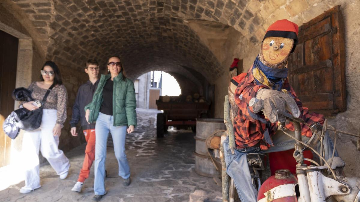 Un dels tions exposats duran la Festa del Tió de Mura del 2024