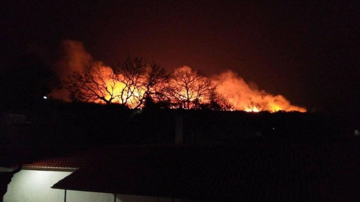 Un incendio forestal en el municipio de Dozón. |