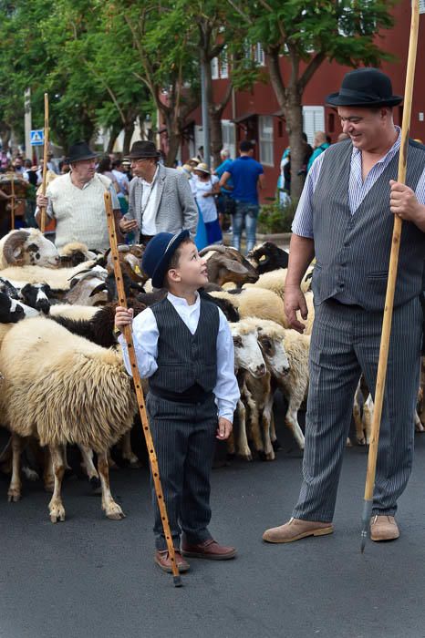 Romería de San Miguel Arcángel