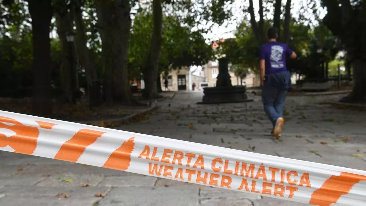 El primer temporal del otoño en A Coruña deja ramas caídas y retirada de elementos por el viento