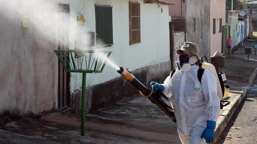 EEUU da luz verde a la primera prueba de vacuna del zika en humanos