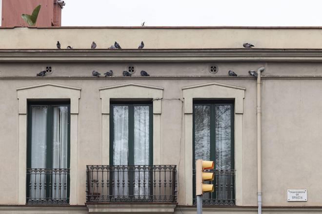 El TSJC anula un plan urbanístico de Colau que fuerza más vivienda pública en Gràcia