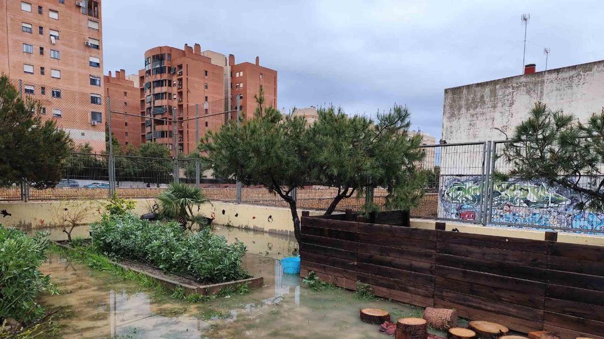 Las lluvias anegan colegios como El Palmeral de Alicante y generan incidencias en diferentes centros educativos
