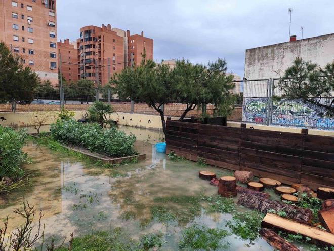 Las lluvias anegan colegios como El Palmeral de Alicante y generan incidencias en diferentes centros educativos