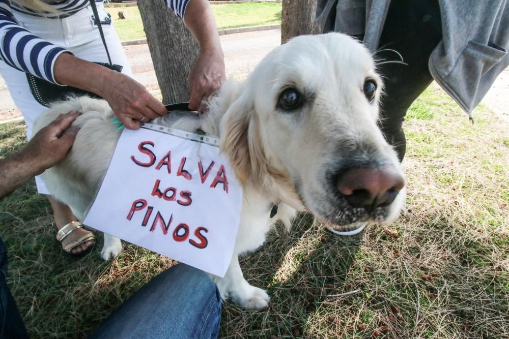 Manifestación en San Miguel de Salinas por la segu