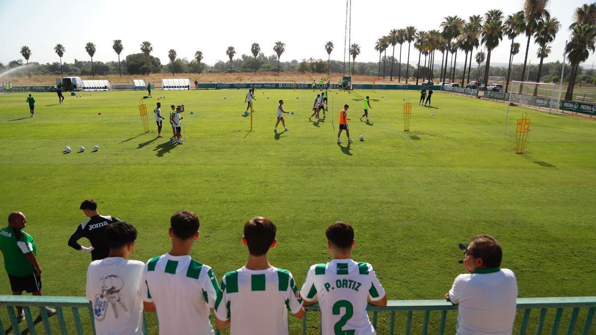 Un grupo de aficionados blanquiverdes sigue una de las sesiones de la pretemporada del Córdoba CF en 2025.