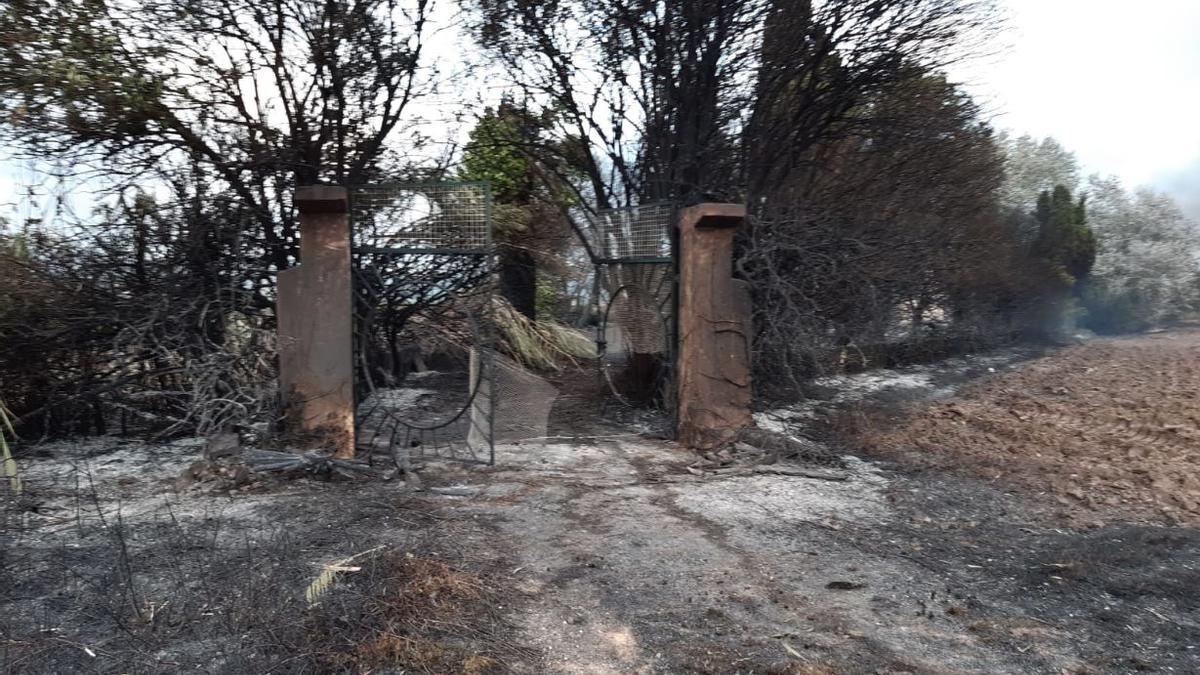 Incendio en s'Albufera de Muro