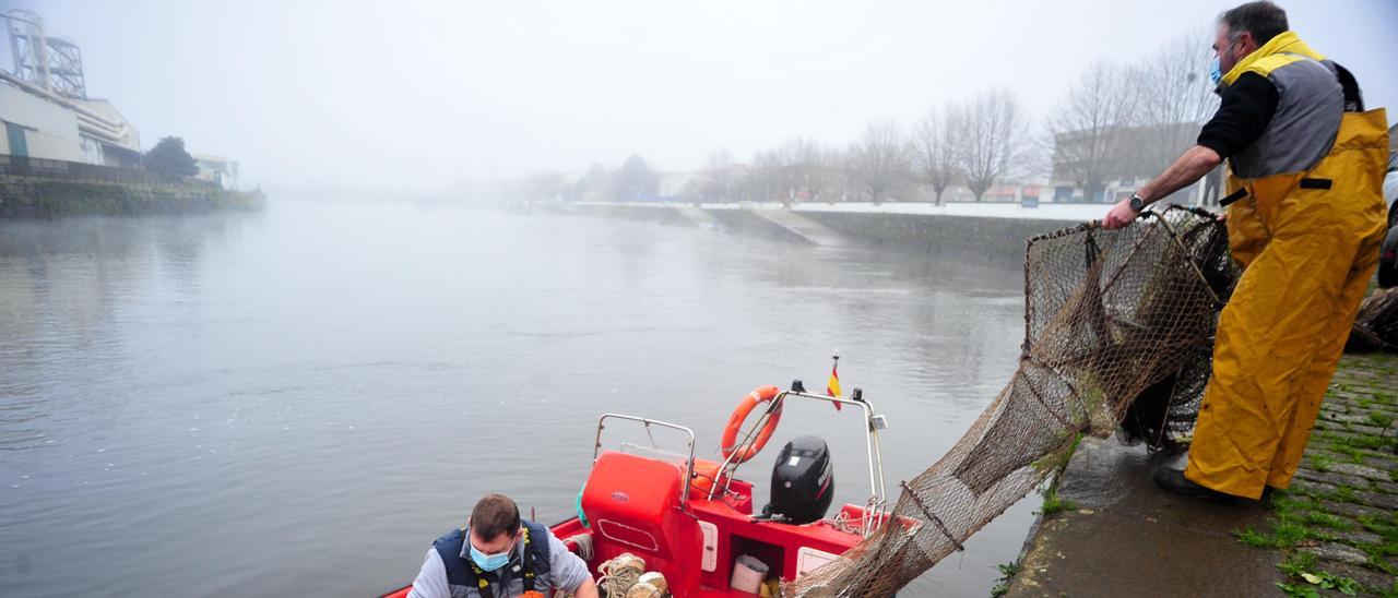 Pesca de lamprea en Pontecesures.