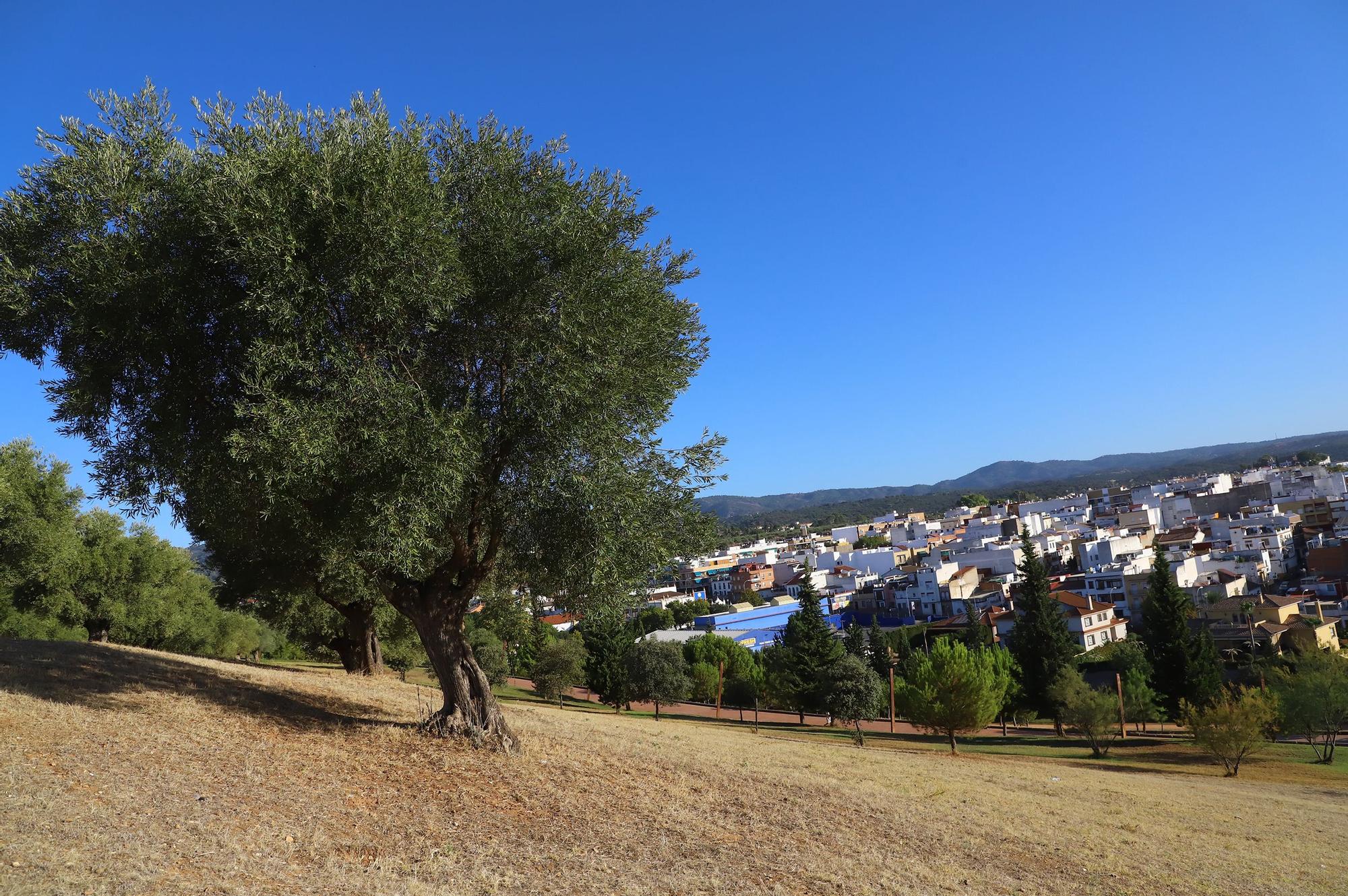 Mirador de la Asomadilla