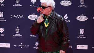 Los galardonados en los Premios Feroz 2025