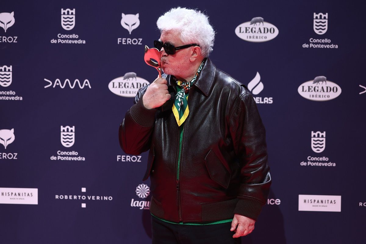 Los galardonados en los Premios Feroz 2025