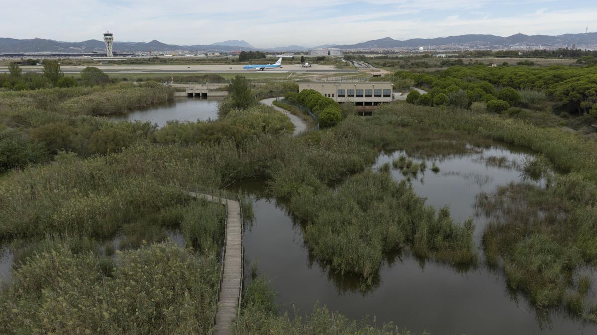 Aviones en la pista de despegue 25L , la que se pretende ampliar por la zona de la Ricarda, área protegida del Parc Natural del Delta del Llobregat , vistos desde el mirador de l’Illa Foto de Ferran Nadeu