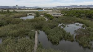 Aviones en la pista de despegue 25L , la que se pretende ampliar por la zona de la Ricarda, área protegida del Parc Natural del Delta del Llobregat , vistos desde el mirador de l’Illa.