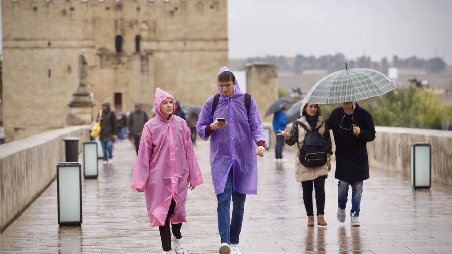 El aviso naranja por lluvias, tormentas y viento en la provincia de Córdoba ya deja más de 43 litros en Fuente Palmera y 17 en la capital