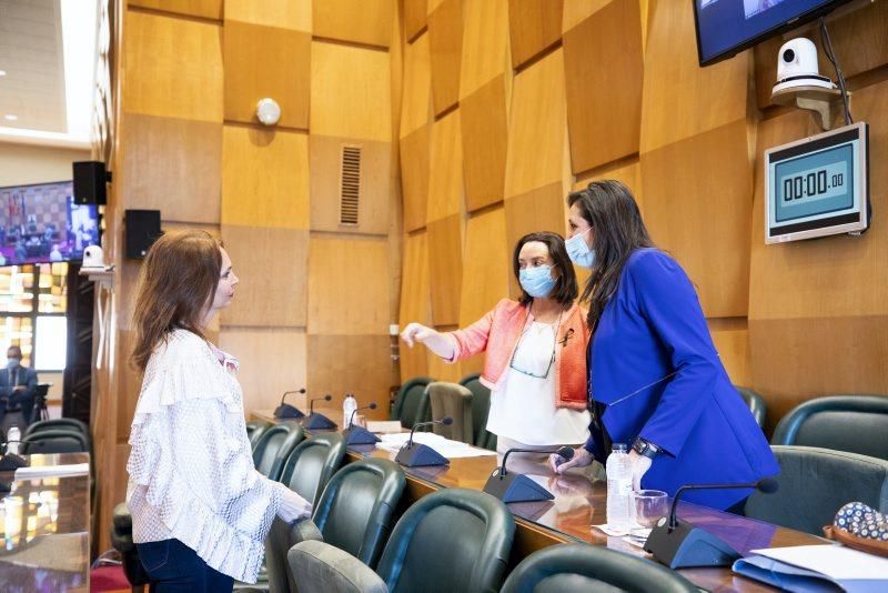 Pleno del Ayuntamiento y firma del dictamen para hacer frente a la crisis social