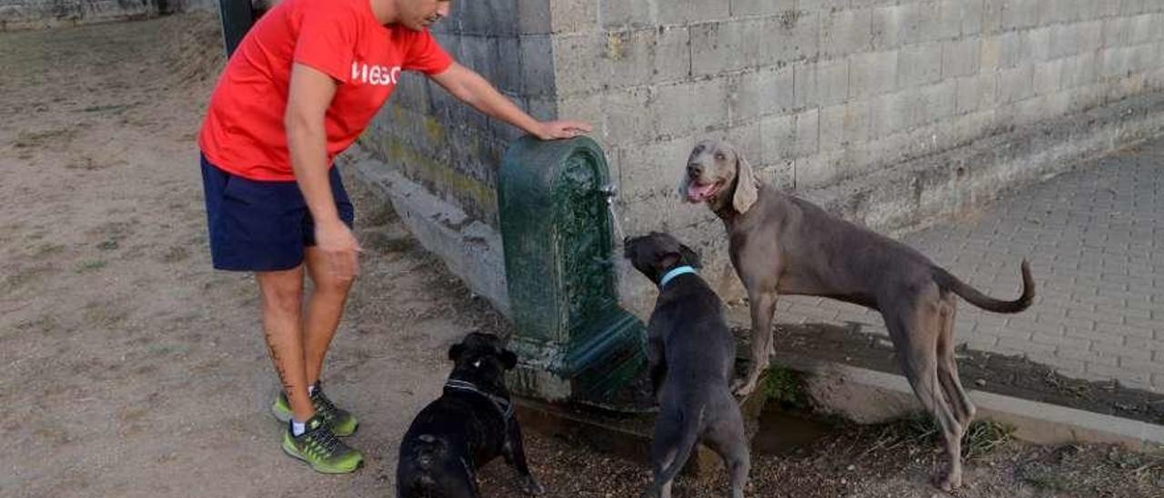 El terreno del parque canino de Vilagarcía está totalmente seco y la fuente no encharca. // Noé Parga