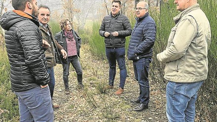 El monte de la localidad, evaluado para aprovechamiento forestal