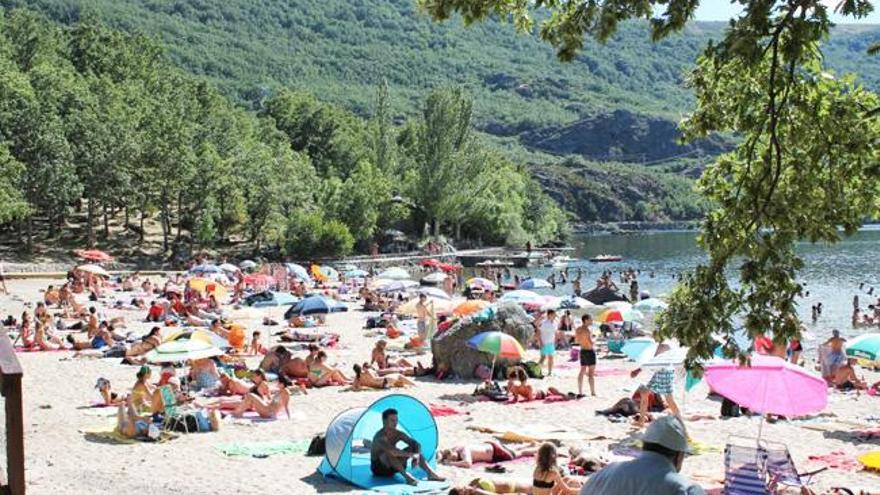 Los mejores planes para hacer con niños en Zamora.