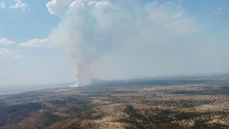 El Infoex activa el nivel 1 en dos incendios forestales en Hornachos y Campillo de Llerena