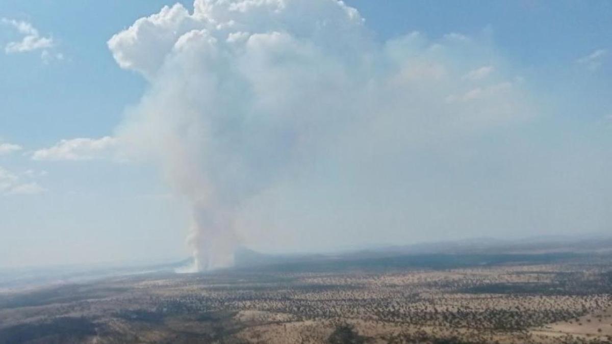 El incendio forestal de Hornachos declarado este sábado.
