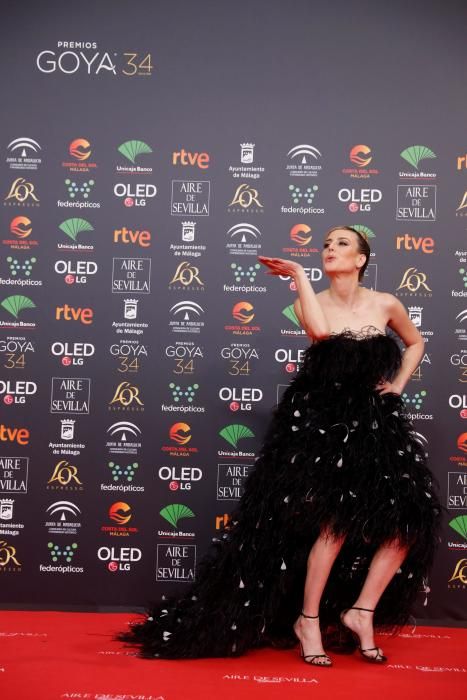 Alfombra roja de los Premios Goya 2020.